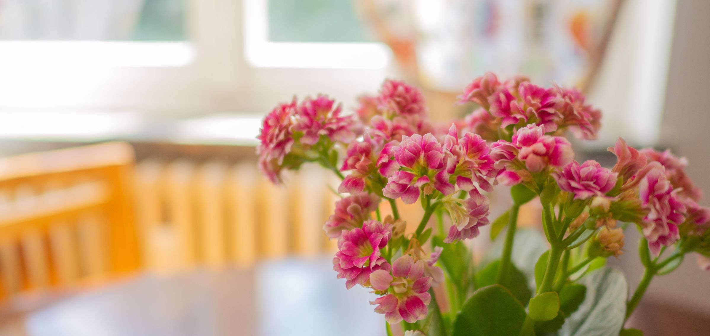 Casa vacanze Morgex per bambini Casa vacanze Morgex per bambini